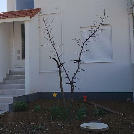 באר Apartmani Suncokreti - Sunflower Apartments מראה חיצוני תמונה